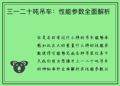 三一二十吨吊车：性能参数全面解析